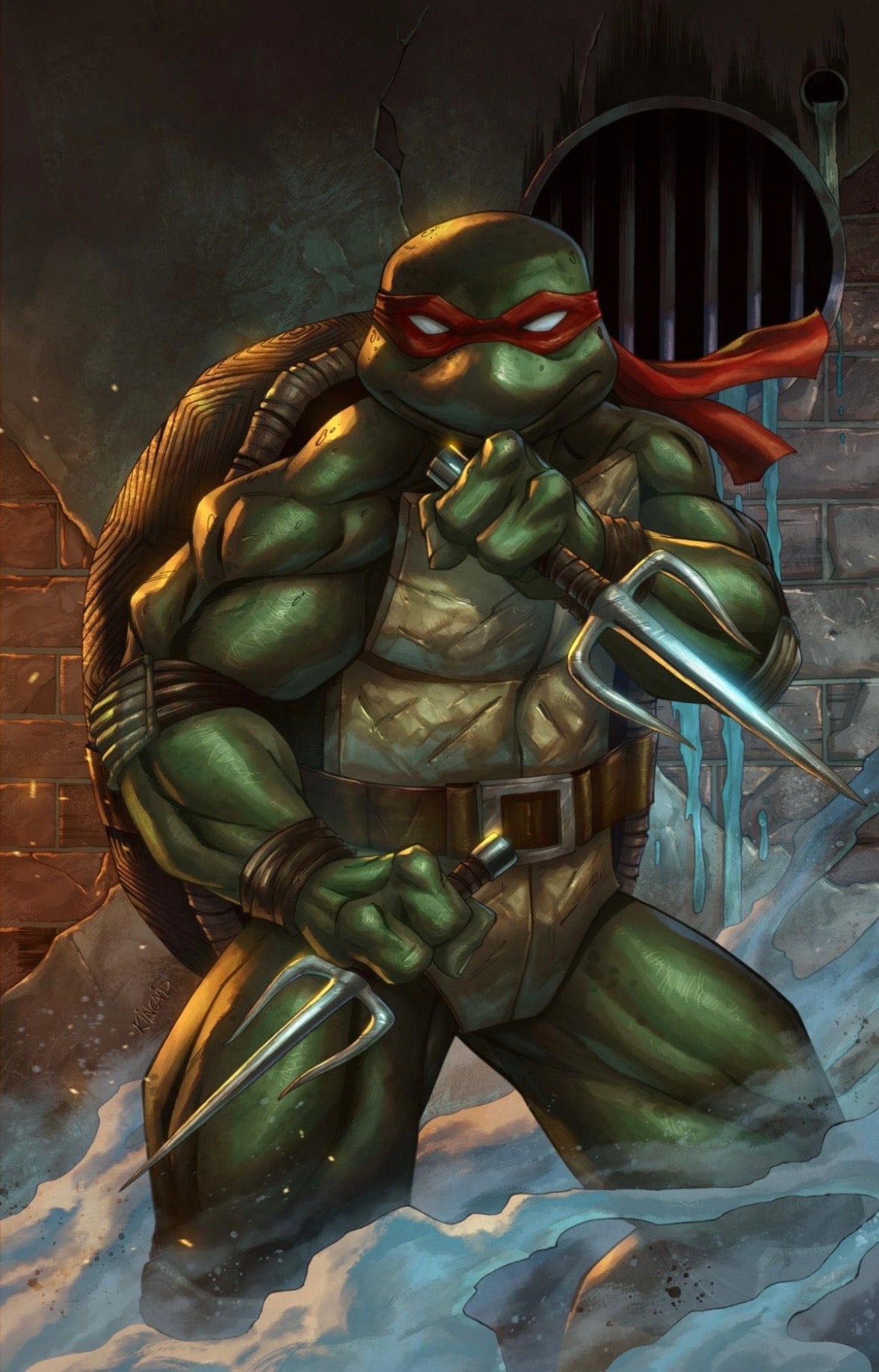 Teenage Mutant Ninja Turtles #12 Ryan Kincaid Exclusive LTD 250